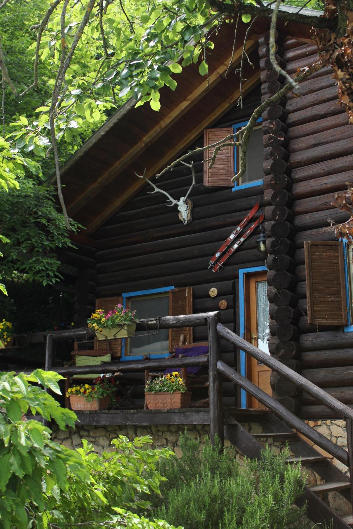 B&B Le Corone - Chalet Nel Bosco Cavalo Exterior foto